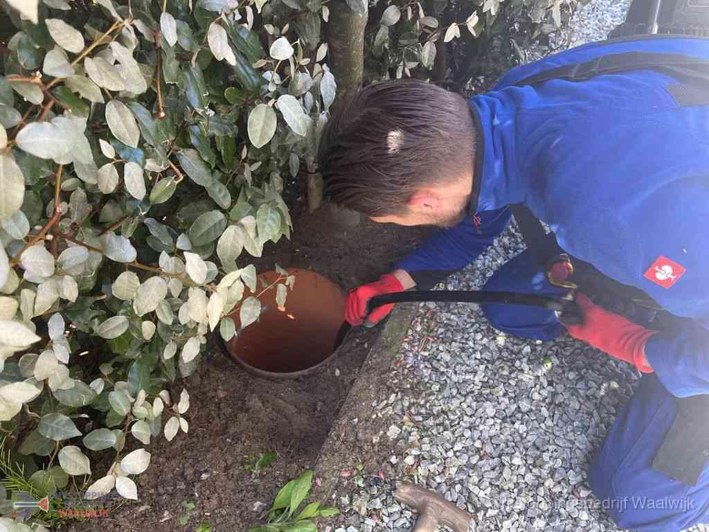 Rioolvliegjes Waalwijk Rioolvliegjes Waalwijk